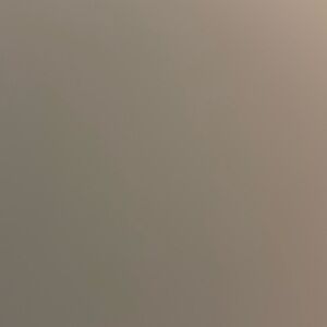 Anything Not Listed On Lives But Shown